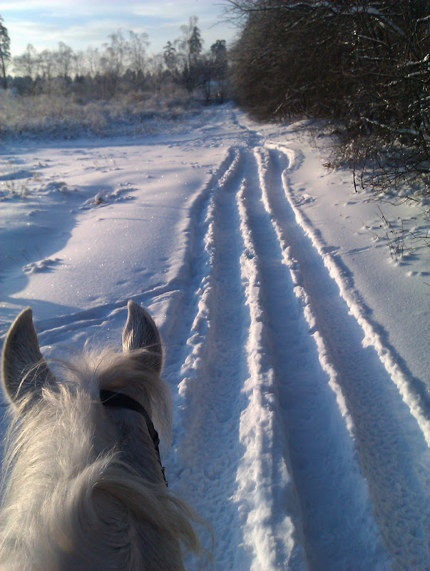 IMAG0093.jpg1.jpg"%20height="800"%20width="603